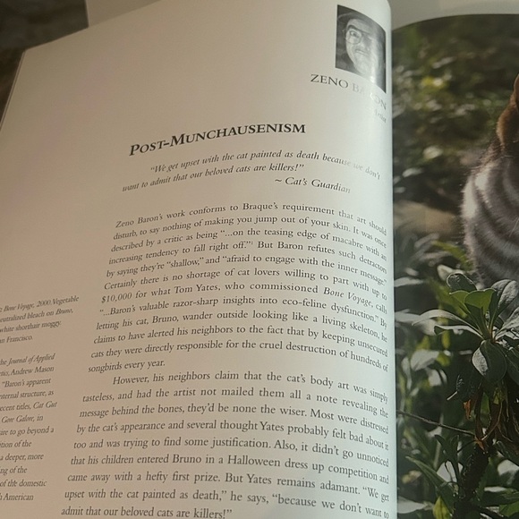 Colorful Vintage Cat Art Print Book Home Decor “Why Paint Cats” - Picture 7 of 15